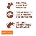 Nature's Variety Original Sin Cereales Salmón para cachorro image number null